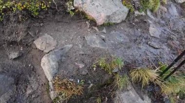 Lofoten Adaları, Norveç; 11 Eylül 2024: Güneşli bir günde Norveç 'te manzaralı bir yolda giden bir karavanın bakış açısı