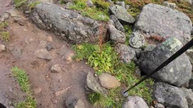 Lofoten Adaları, Norveç; 11 Eylül 2024: Norveç 'in Lofoten Adaları' ndaki bir sahil yolunda sürücünün resmi bakış açısı