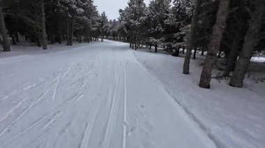 İspanya 'nın La Molina şehrinde kış boyunca virajlı ve karlı bir yolda giden bir arabadan bakış açısı