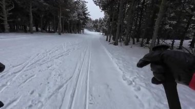 İspanya 'nın La Molina şehrinde kış boyunca virajlı ve karlı bir yolda giden bir arabadan bakış açısı
