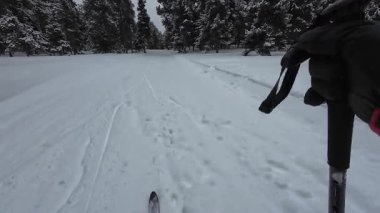 İspanya 'nın La Molina şehrinde kış boyunca virajlı ve karlı bir yolda giden bir arabadan bakış açısı