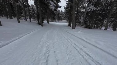 İspanya 'nın La Molina şehrinde kış boyunca virajlı ve karlı bir yolda giden bir arabadan bakış açısı