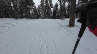 İspanya 'nın La Molina şehrinde kış boyunca virajlı ve karlı bir yolda giden bir arabadan bakış açısı