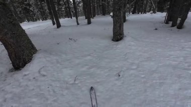 İspanya 'nın La Molina şehrinde kış boyunca virajlı ve karlı bir yolda giden bir arabadan bakış açısı