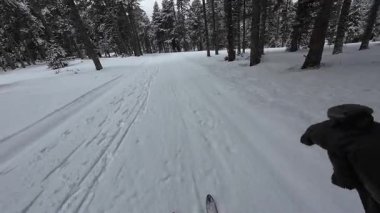İspanya 'nın La Molina şehrinde kış boyunca virajlı ve karlı bir yolda giden bir arabadan bakış açısı