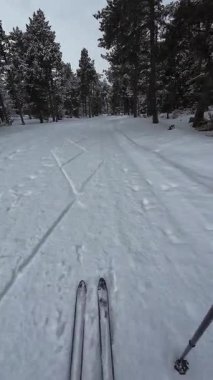 İspanya 'nın La Molina şehrinde kış boyunca virajlı ve karlı bir yolda giden bir arabadan bakış açısı
