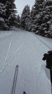 İspanya 'nın La Molina şehrinde kış boyunca virajlı ve karlı bir yolda giden bir arabadan bakış açısı