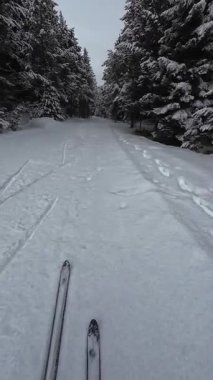İspanya 'nın La Molina şehrinde kış boyunca virajlı ve karlı bir yolda giden bir arabadan bakış açısı