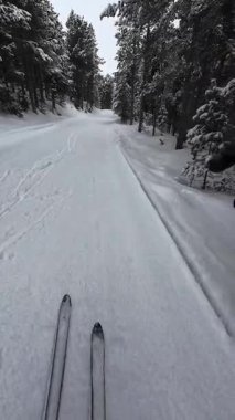 İspanya 'nın La Molina şehrinde kış boyunca virajlı ve karlı bir yolda giden bir arabadan bakış açısı