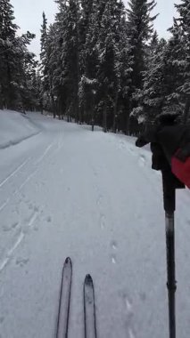 İspanya 'nın La Molina şehrinde kış boyunca virajlı ve karlı bir yolda giden bir arabadan bakış açısı