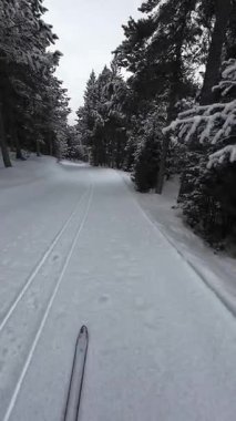 İspanya 'nın La Molina şehrinde kış boyunca virajlı ve karlı bir yolda giden bir arabadan bakış açısı