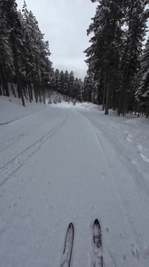 İspanya 'nın La Molina şehrinde kış boyunca virajlı ve karlı bir yolda giden bir arabadan bakış açısı
