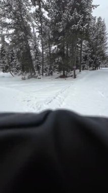 İspanya 'nın La Molina şehrinde kış boyunca virajlı ve karlı bir yolda giden bir arabadan bakış açısı