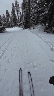 İspanya 'nın La Molina şehrinde kış boyunca virajlı ve karlı bir yolda giden bir arabadan bakış açısı