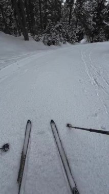 İspanya 'nın La Molina şehrinde kış boyunca virajlı ve karlı bir yolda giden bir arabadan bakış açısı