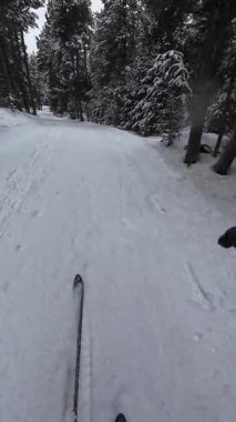 İspanya 'nın La Molina şehrinde kış boyunca virajlı ve karlı bir yolda giden bir arabadan bakış açısı