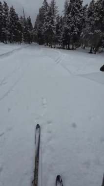 İspanya 'nın La Molina şehrinde kış boyunca virajlı ve karlı bir yolda giden bir arabadan bakış açısı