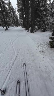 İspanya 'nın La Molina şehrinde kış boyunca virajlı ve karlı bir yolda giden bir arabadan bakış açısı