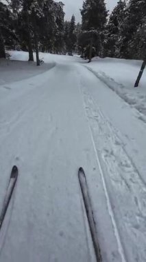 İspanya 'nın La Molina şehrinde kış boyunca virajlı ve karlı bir yolda giden bir arabadan bakış açısı