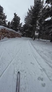 İspanya 'nın La Molina şehrinde kış boyunca virajlı ve karlı bir yolda giden bir arabadan bakış açısı