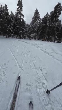 İspanya 'nın La Molina şehrinde kış boyunca virajlı ve karlı bir yolda giden bir arabadan bakış açısı