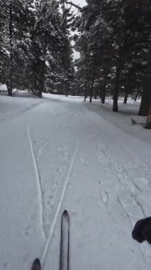 İspanya 'nın La Molina şehrinde kış boyunca virajlı ve karlı bir yolda giden bir arabadan bakış açısı