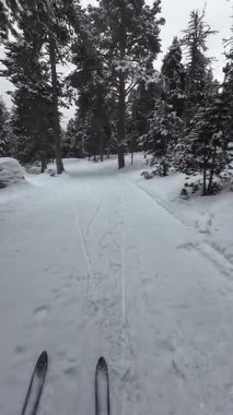 İspanya 'nın La Molina şehrinde kış boyunca virajlı ve karlı bir yolda giden bir arabadan bakış açısı