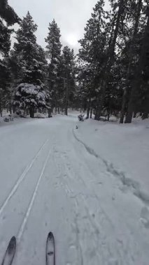 İspanya 'nın La Molina şehrinde kış boyunca virajlı ve karlı bir yolda giden bir arabadan bakış açısı