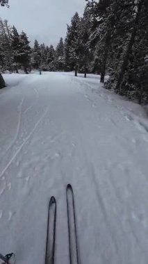 Palau De Cerdagne, Fransa; 24 Ocak 2026: Pirenes dağlarındaki bir köyden geçen karlı bir yoldan çekilen görüntüler
