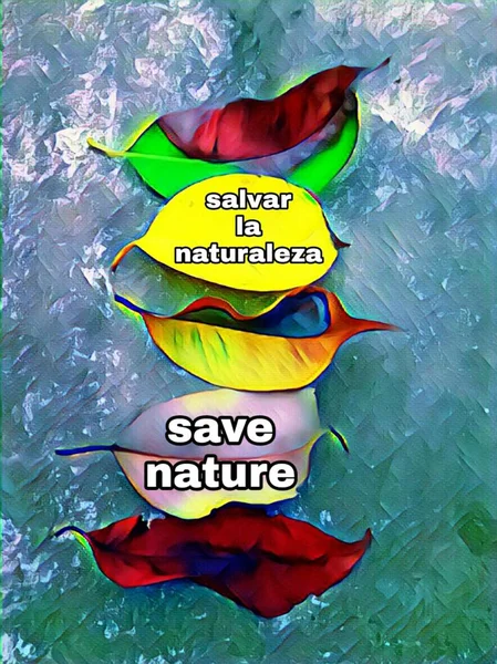 Doğa Sanatı Alıntılarını Kaydet