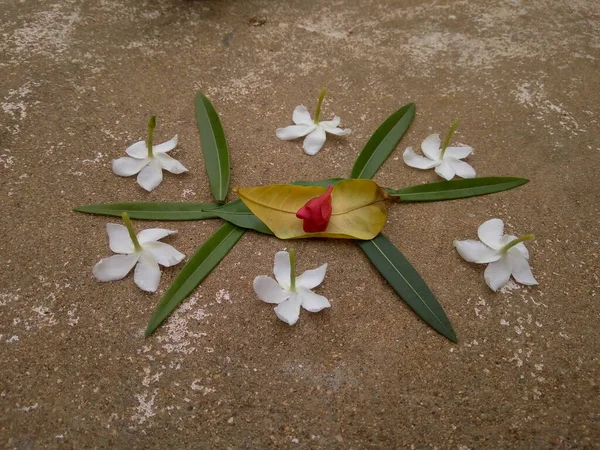 Yapraklar ve Çiçekler Dekorasyonu