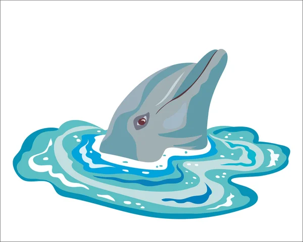 Delfín en agua de mar. Cabeza de delfín Se asoma fuera del agua . — Archivo Imágenes Vectoriales