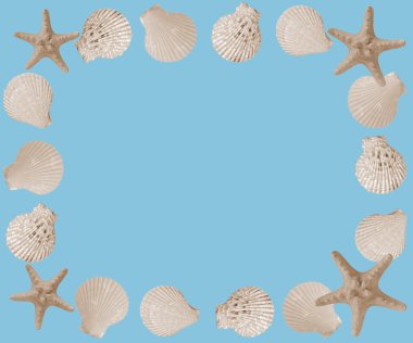 Deniz kabukları ve denizyıldızı deniz çerçeve mavi arka plan.