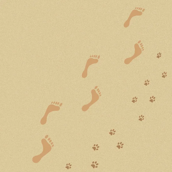 Human and dog footprints in the sand background. — Stock Photo, Image