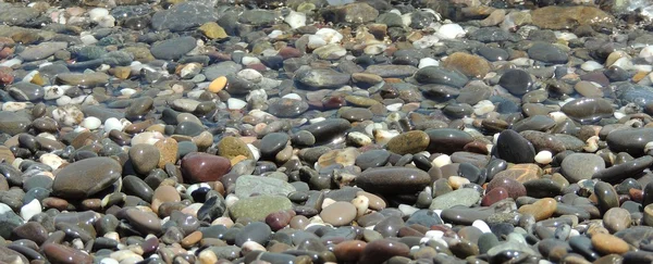 Kıyı çakıl taşları dokusu arkaplanı. — Stok fotoğraf