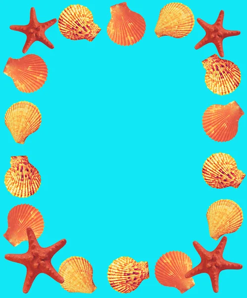 Frame of seashells and starfish on a turquoise background. — Stock Photo, Image