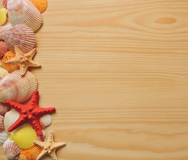 Seashells and starfish on wooden background top view mockup design. — Stock Photo, Image