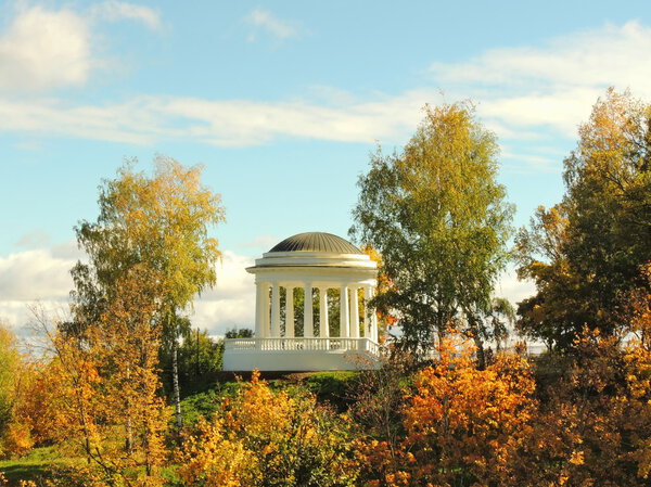 Осенний природный пейзаж в Александровском парке, Киров, Россия.