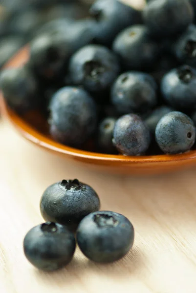 Blueberries — Stock Photo, Image