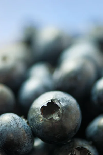 Blueberries — Stock Photo, Image