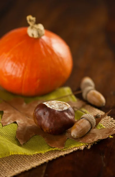 Frutos do outono — Fotografia de Stock