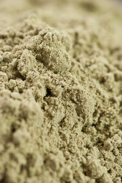 raw organic hemp protein powder