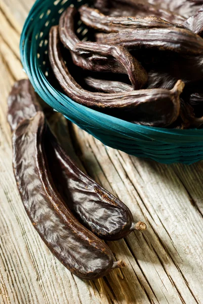 Carob, Ceratonia siliqua — Stock Photo, Image