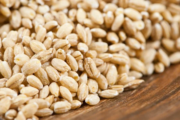 Barley — Stock Photo, Image