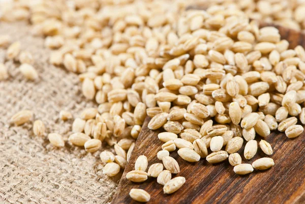 Barley — Stock Photo, Image