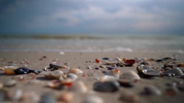 Vue Sur Plage Sable Fin Coquilles Sur Sable — Video