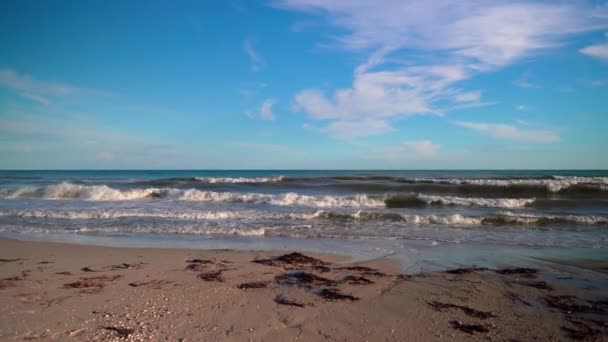 Vagues Sur Plage Sable Par Une Journée Ensoleillée Prores — Video