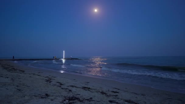 Petite Maison Lumineuse Sur Plage Lumière Lune — Video