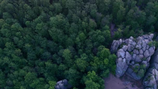 Aerial Shot Carpathian Mountains Vista Superior Montañas Picos Rocas Paisaje — Vídeo de stock