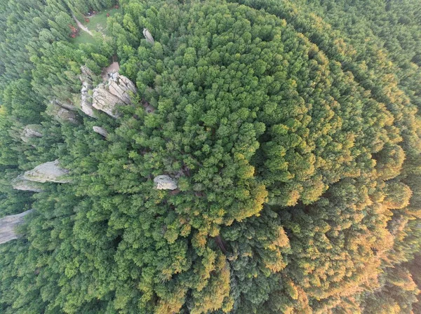 Karpatya dağlarının sihirli Dovbush kayalarının havadan görünüşü, yaz günü, Ukrayna, geniş açı